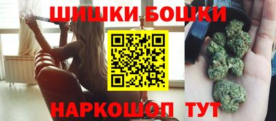 шишки Обь
