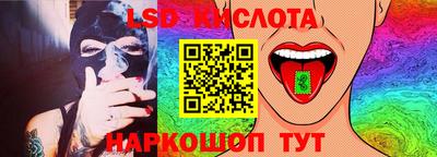 шишки Обь