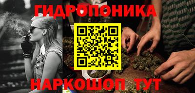 гашик Обнинск