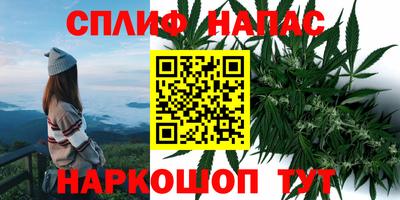 шишки Нягань