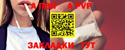 шишки Обь