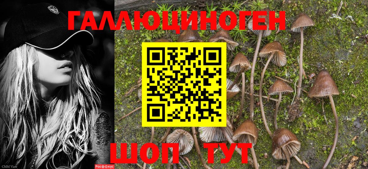 Галлюциногенные грибы мухоморы  Вход с VPN  Фролово 